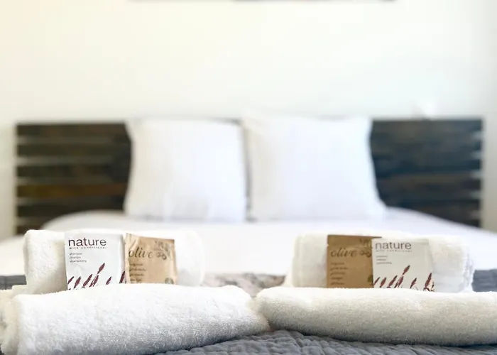 Le Spacieux - Royan, Wifi&balcon